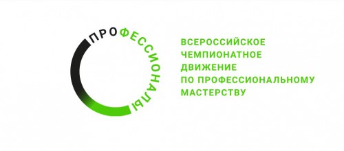 ПРОФЕССИОНАЛЫ: СОЗДАЕМ БУДУЩЕЕ!