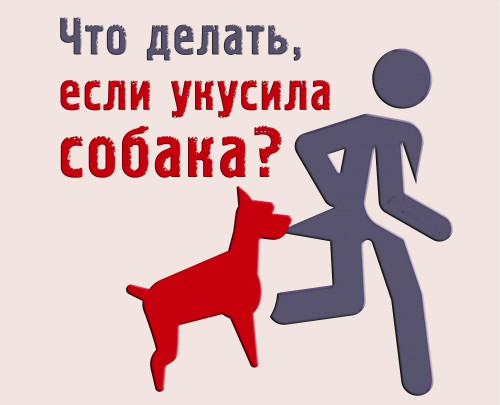 Укусы собак